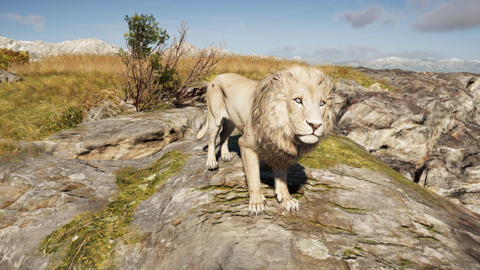 Makedonian Lion | Assassin's Creed Wiki | Fandom