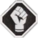 Fistsac2