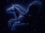 Pegasus jpg