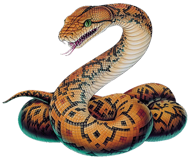 giant constrictor snake 5e