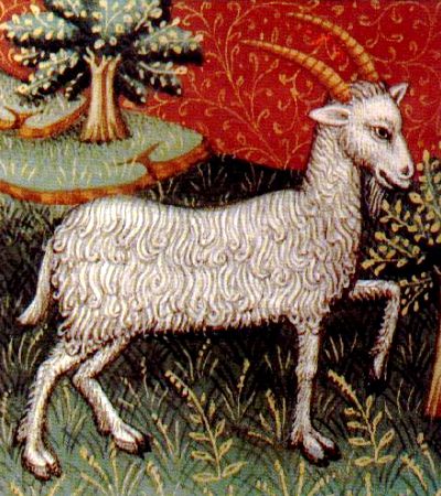Capricorn2