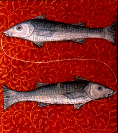 Pisces2