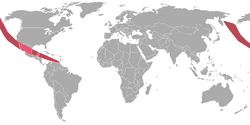 Apophis colision map