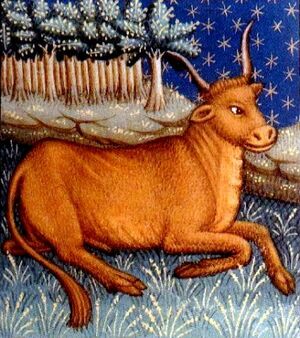 Taurus2