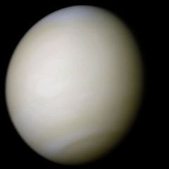 240px-Venus-real