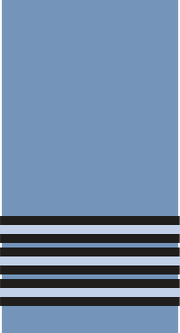 Wing Commanger