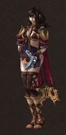 SlaveWarrior