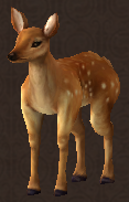 Chief Deer
