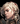Lady Knight2