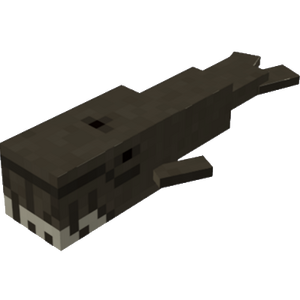 Whale2