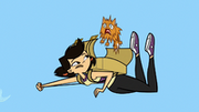 SkyFallCats