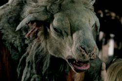 Weresheep2