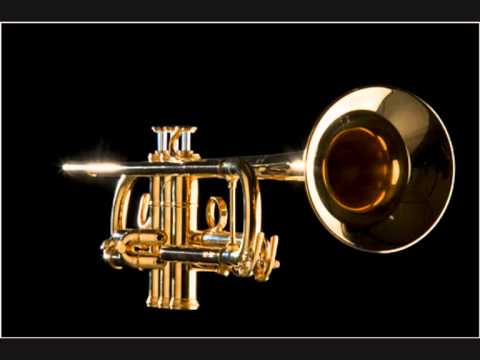 Trumpeity1
