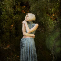 Running With The Wolves Song Aurora Aksnes Wiki Fandom