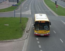 250px-DSC09436