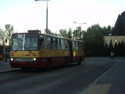 250px-DSC04287