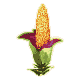 28ScaledGrass