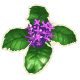 23Lingerlom