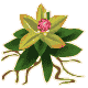 02ForestDrop