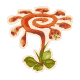 16GoldenPlant