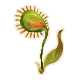 21FlashGrass