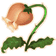 08FuryPlant