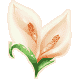 05Twinkler