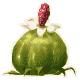 24PursePlant