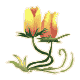29JajaFlower