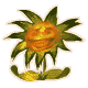06Shadowsol