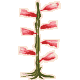 20Stretchus