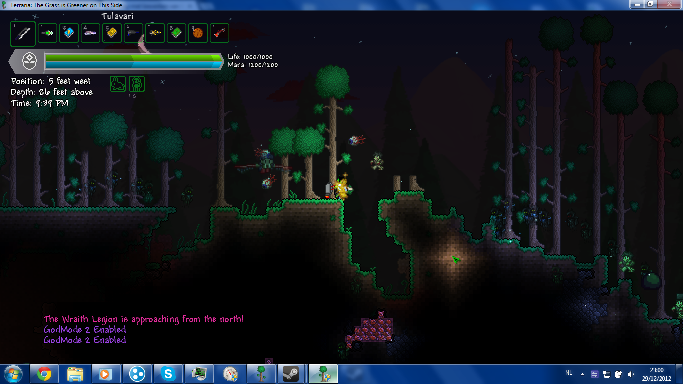 More Accessory Slots Terraria Mod