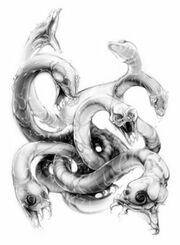 Hydra