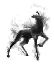 Night Stallion
