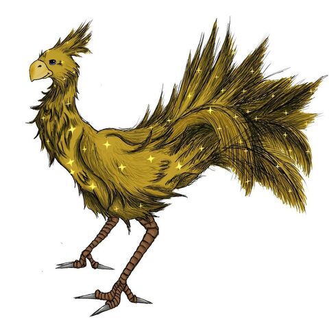 File:Chocobo.jpg