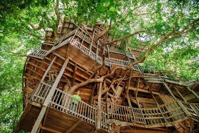 Treehouse