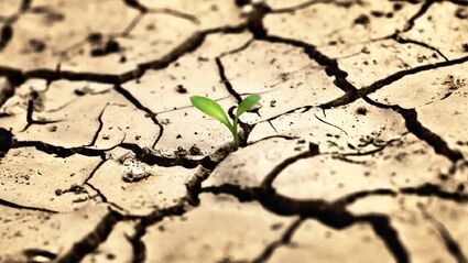 Greening