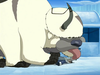 Appa lèche Sokka