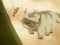 Appa et Momo