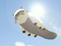 Appa montant