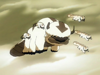 La mère d'Appa