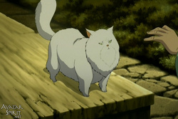 Miyuki