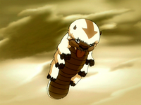 Bisonte volador | Avatar Wiki | FANDOM powered by Wikia