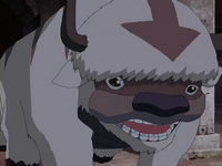 Appa spots Pathik