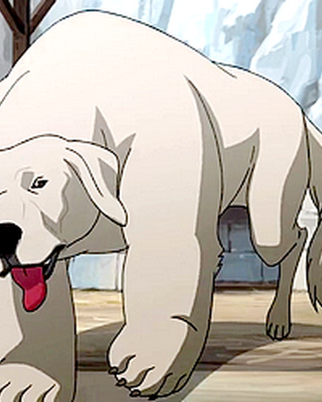 Polar Bear Dog Avatar Wiki Fandom - roblox hot dog avatar