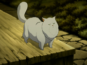 Miyuki