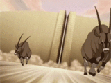 Aang dierentuin