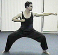 Thumbnail for version as of 06:07, December 7, 2012