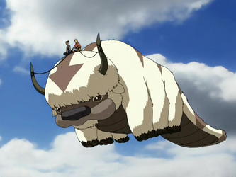 Fanon:Appa (Avatar: Before the Legends) | Avatar Wiki | Fandom