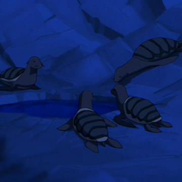 Turtle seal | Avatar Wiki | Fandom